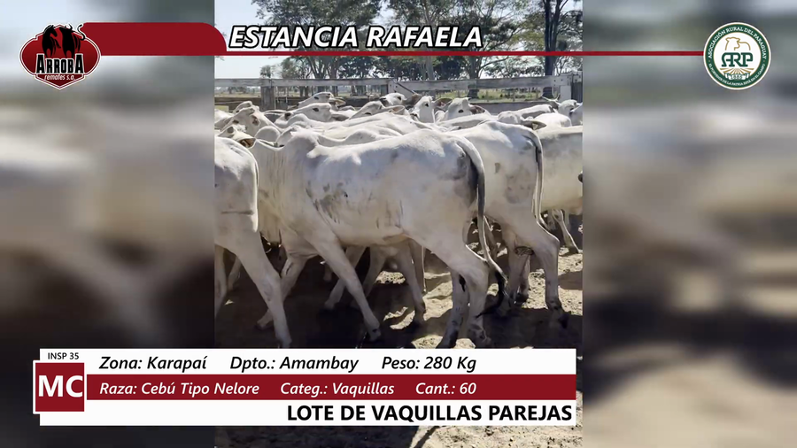 Lote Estancia Rafaela