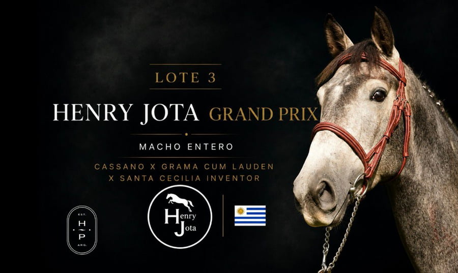 Lote HENRY JOTA GRAN PRIX