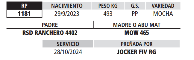 Lote LOTE 11