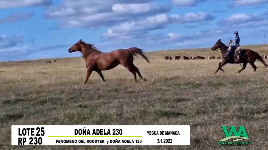 Lote DOÑA ADELA 230