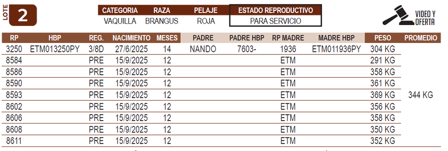 Lote LOTE 2