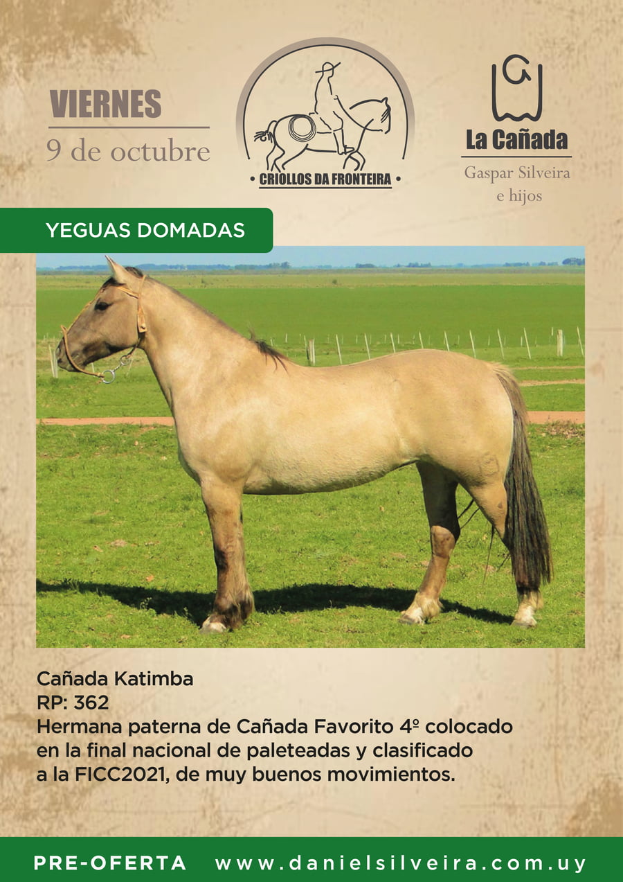 Lote Criollos da Fronteira Cañada Katimba  RP: 362