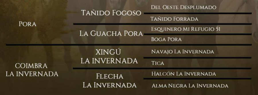 Lote Santa Gloria Repetida