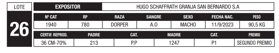 Lote LOTE 26