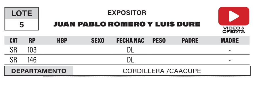Lote LOTE 5- POR PANTALLA
