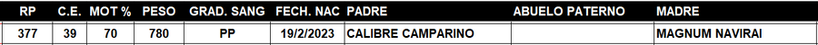 Lote LOTE 49