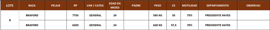 Lote LOTE 4- POR PANTALLA
