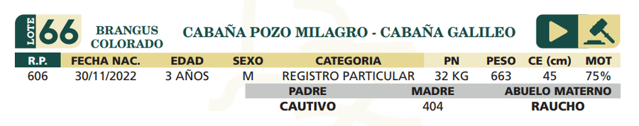 Lote LOTE 66