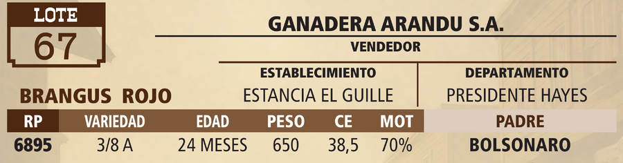 Lote LOTE 67 - VIVO