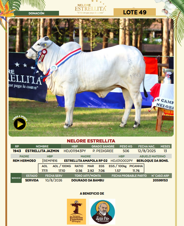 Lote LOTE 49- DONACION