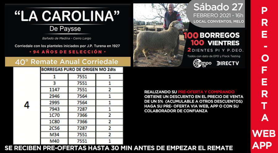 Lote 11 Borregas en Cerro Largo, Cerro Largo
