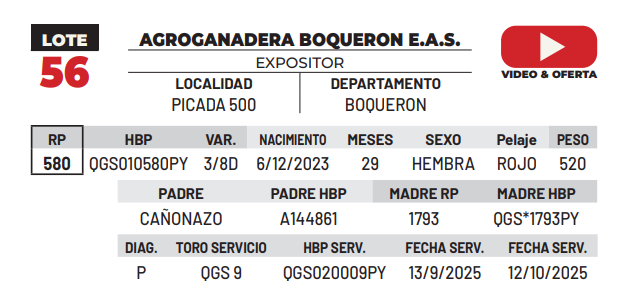 Lote LOTE 56 -DE CAMPO