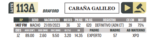 Lote LOTE 113 A