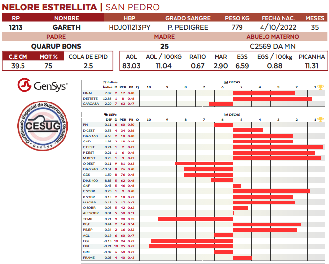 Lote LOTE 60