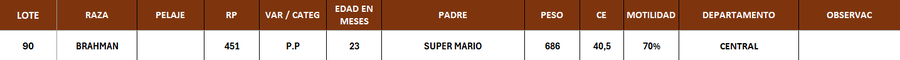 Lote LOTE 90