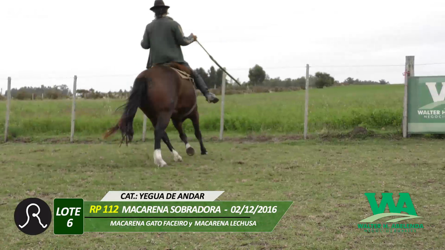 Lote MACARENA SOBRADORA