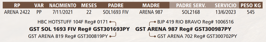 Lote LOTE 38 DE BOZAL