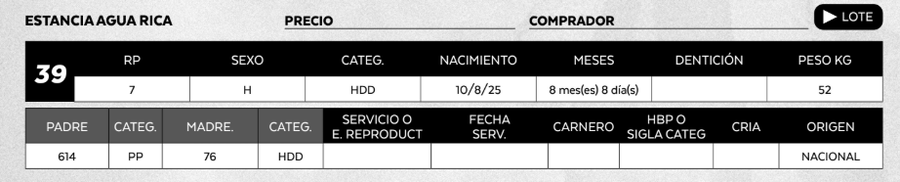 Lote LOTE 39