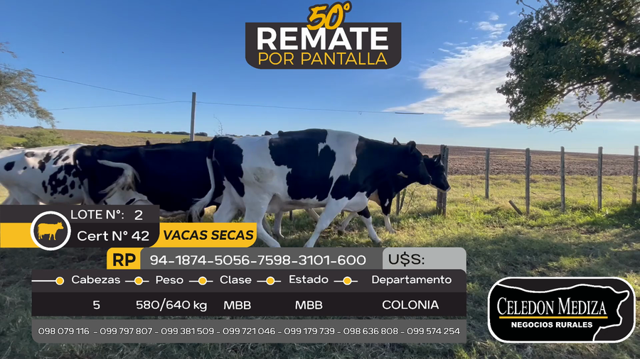 Lote 5 Vaca en Estanzuela, Colonia