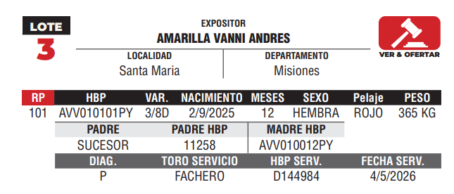 Lote LOTE 3 -JUNIOR