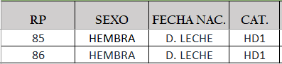 Lote LOTE 7