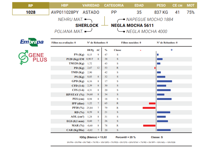 Lote LOTE 28