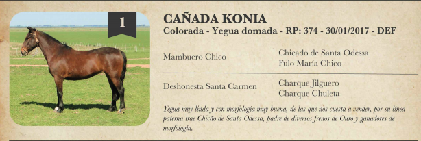 Lote Criollos da Fronteira Cañada Konia   RP: 374