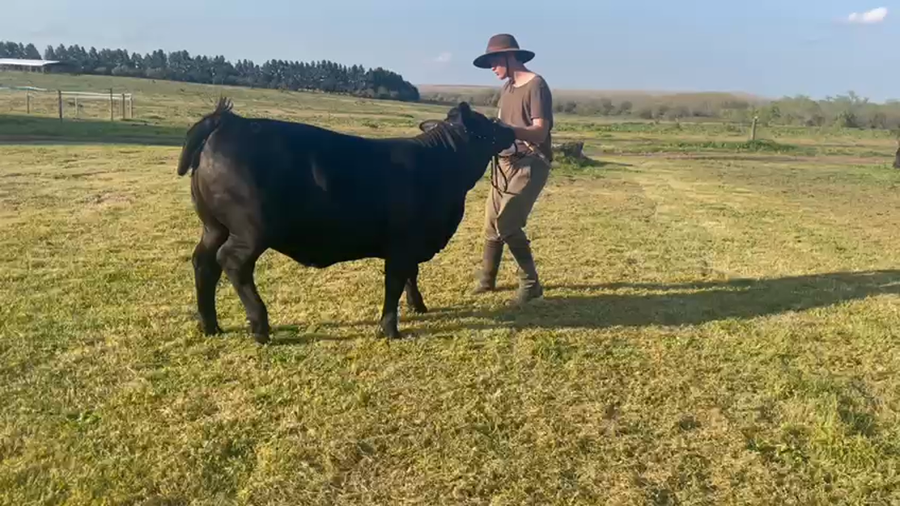 Lote "Cabaña Campo Norte" CN MAYU 009 TE FIV