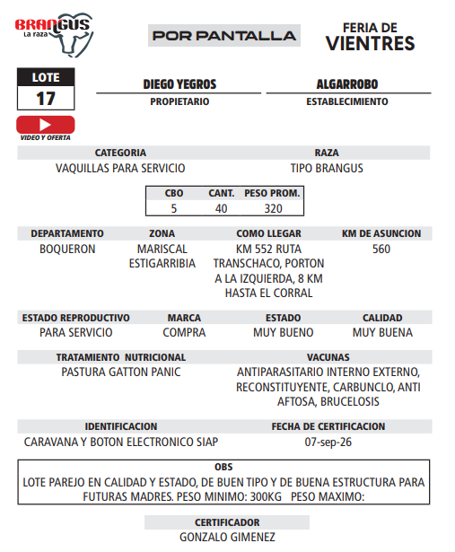 Lote LOTE 17 - POR PANTALLA