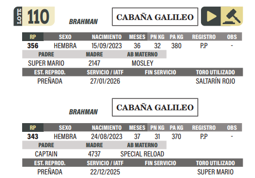 Lote LOTE 110