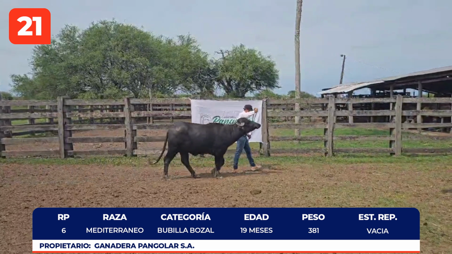Imagen 1 del Lote Lote LOTE 21