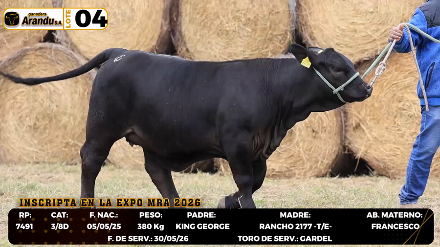 Lote LOTE 4