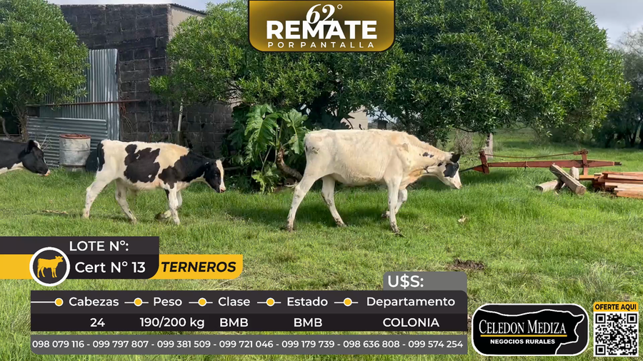 Lote 24 Terneros en Puntas del San Juan,Colonia