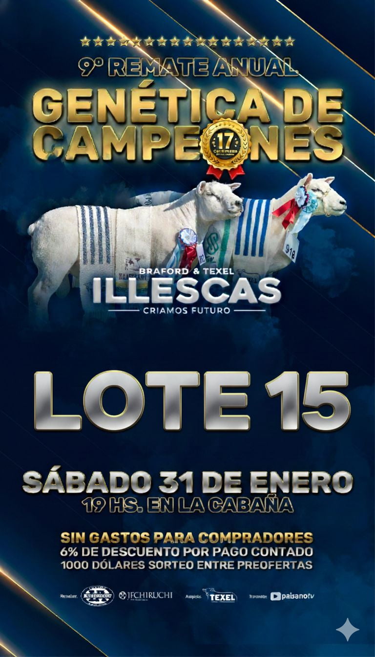 Lote LOTE 15