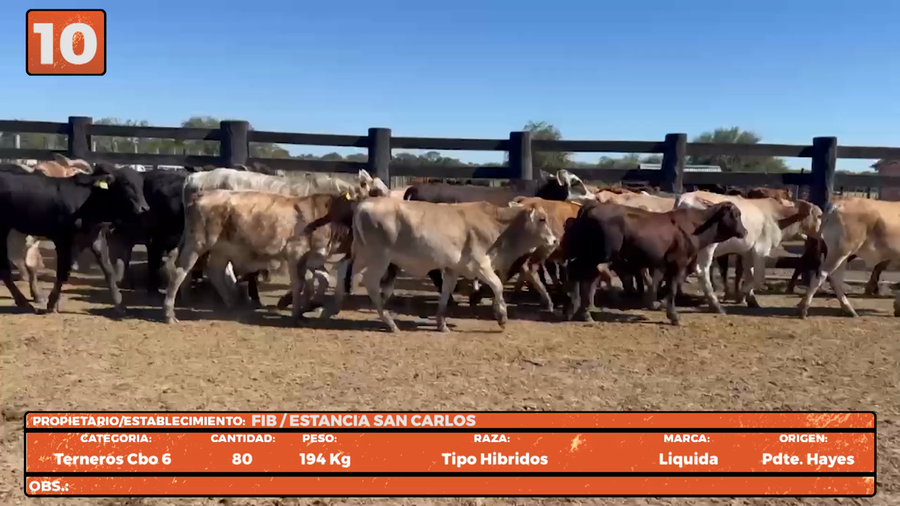 Lote LOTE 10