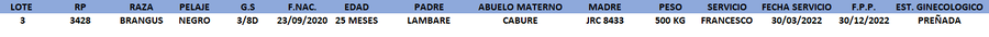 Lote LOTE 3