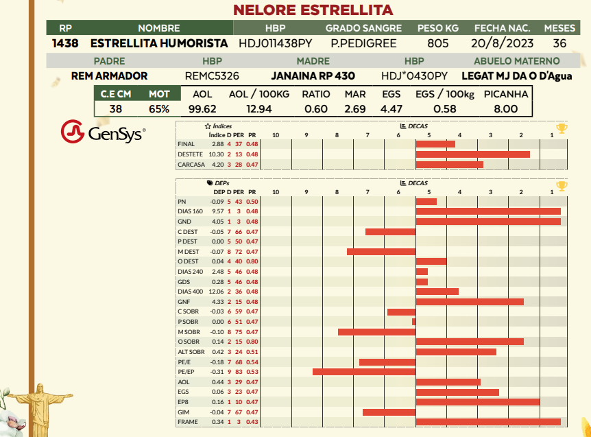 Lote LOTE 13