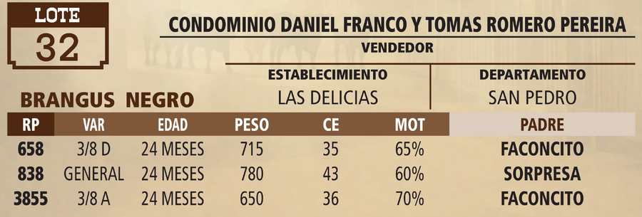 Lote LOTE 32 - VIVO