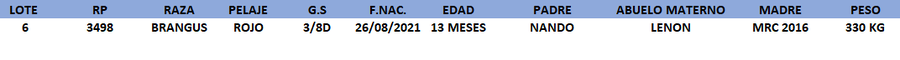 Lote LOTE 6.