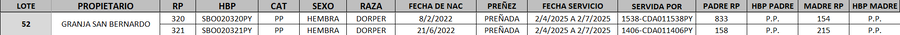 Lote LOTE 52- DESTACADO