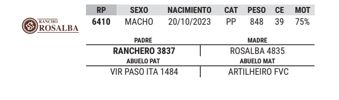 Lote LOTE 47
