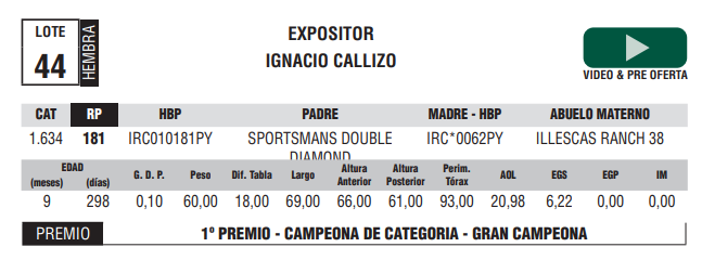 Lote LOTE 44