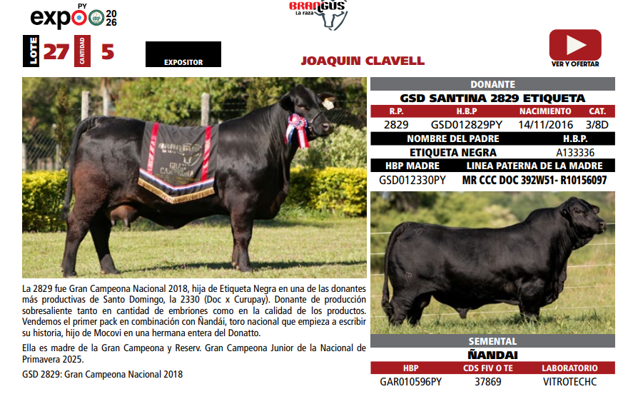 Lote LOTE 27