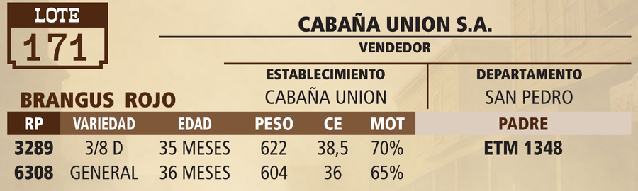 Lote LOTE 171 - PANTALLA