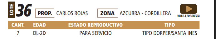 Lote LOTE 36 -POR PANTALLA