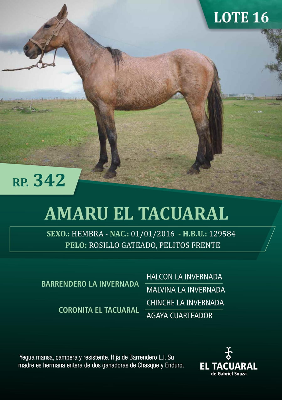 Lote AMARU EL TACUARAL - R.P. 342