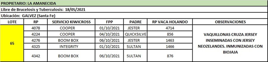 Lote Lote 65 La amanecida