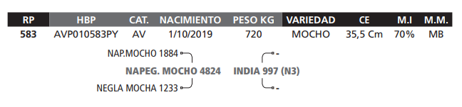 Lote LOTE 56