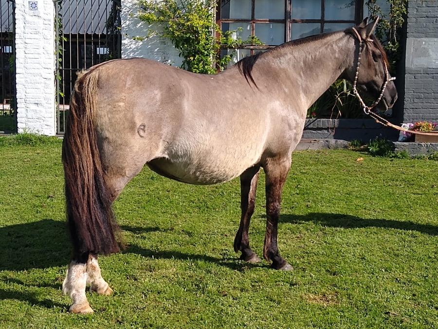 Lote Firmeza 1381 (RP 1381) - Cabaña Firmeza