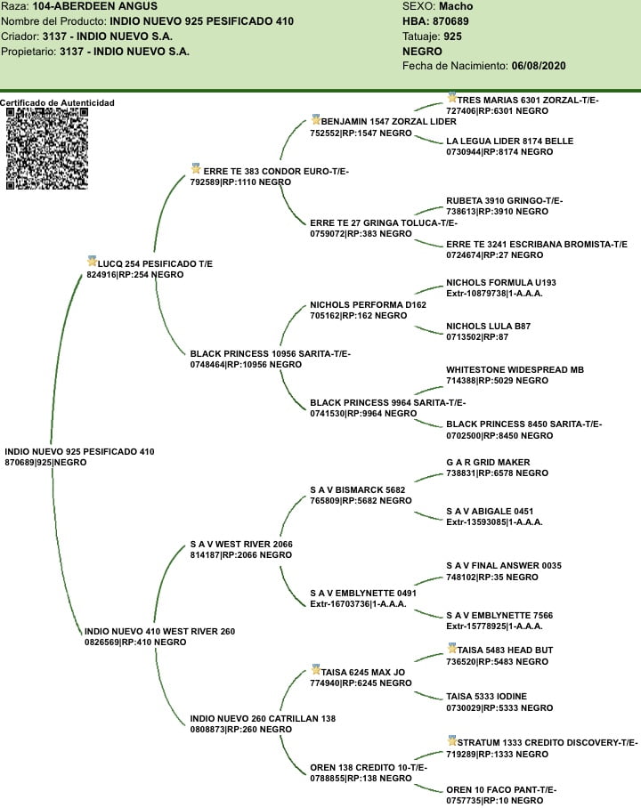 Lote "Toros ""SANTA ROSA"""